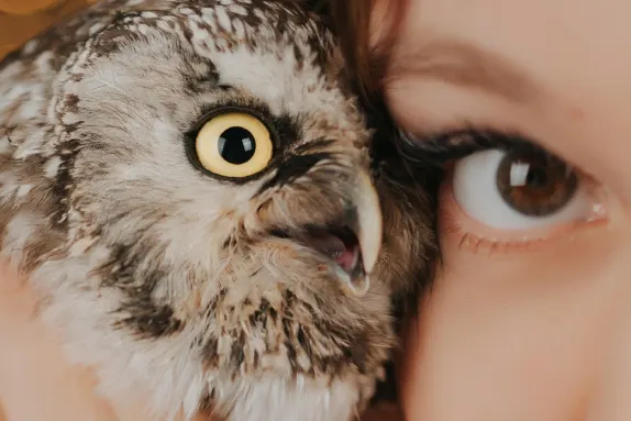 Casino MR Fortune Tacaíocht